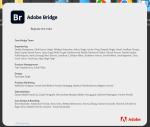 Download Adobe Bridge 2023 v13.0.1.583 x64 full license forever