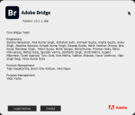 Download Adobe Bridge 2020 v10.1.1.166 x64 full license forever
